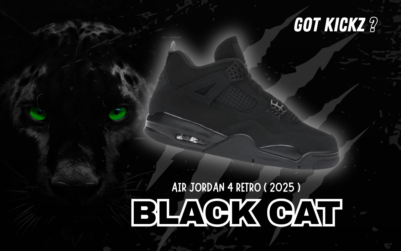 jordan 4 black cat kickz